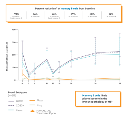 LYMPHOCYTE SUBSETS Graph showing percent reduction of memory B cell from baseline